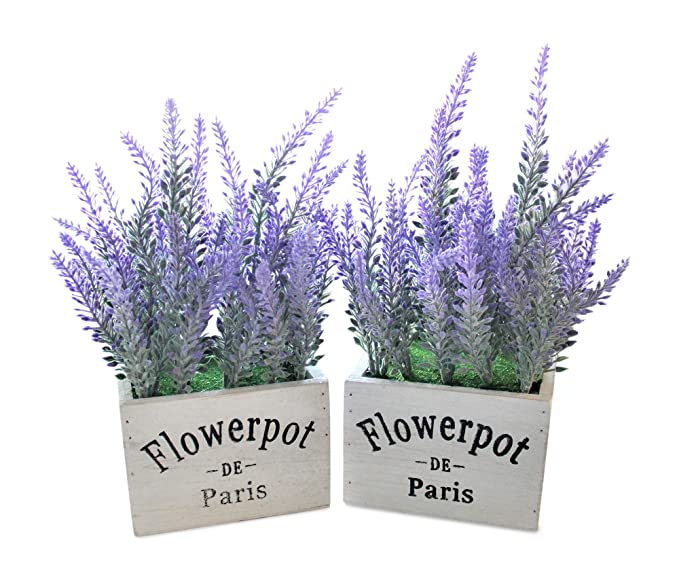 HOME:  Spring decor with dainty lavender - Image 2